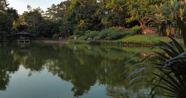 Vista Panorámica Del Lago Jardín — Vídeo de stock