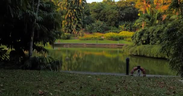 Hermosa Vista Hacia Lago Jardín — Vídeo de stock