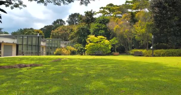 Vista Panorámica Del Campo Verde Jardín — Vídeo de stock