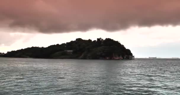 Bosque Junto Mar Bajo Nubes Oscuras — Vídeos de Stock