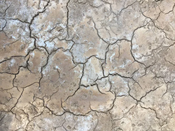 Dry mud background natural texture of earth banner — Stock Photo, Image