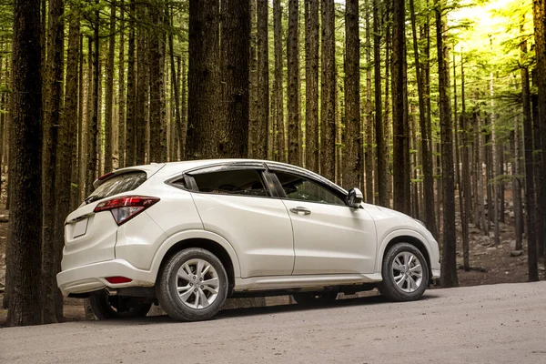 Arka planda güneş ışığıyla orman ağaçlarının arasından araba sürmek..