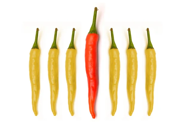 Papryka chili czerwony żółty biały na białym tle na — Zdjęcie stockowe