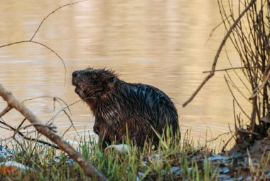 Kunduz Nehri üzerinde