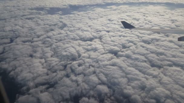 Kilátás a repülőgép ablakából. — Stock videók