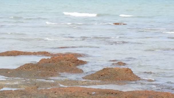 Des vagues océaniques qui coulaient vers le rivage . — Video