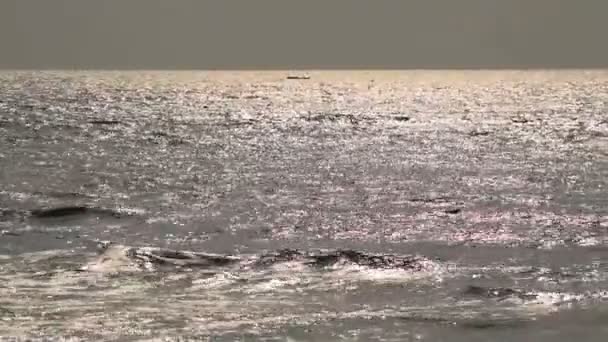 Barcos de pesca flotando en el mar con la luz dorada . — Vídeos de Stock