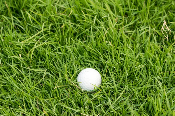 Golf labda, zöld fű, golfpálya. — Stock Fotó