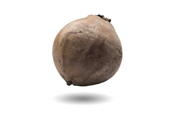 Ripe coconut fruit. — Stock Photo, Image