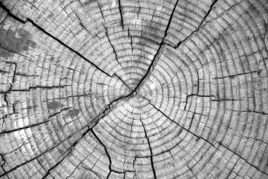 Ahşap doku arkaplanı.