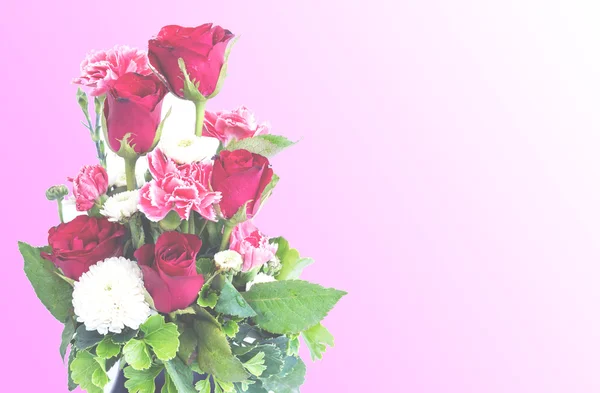 Růže na barevné pozadí — Stock fotografie