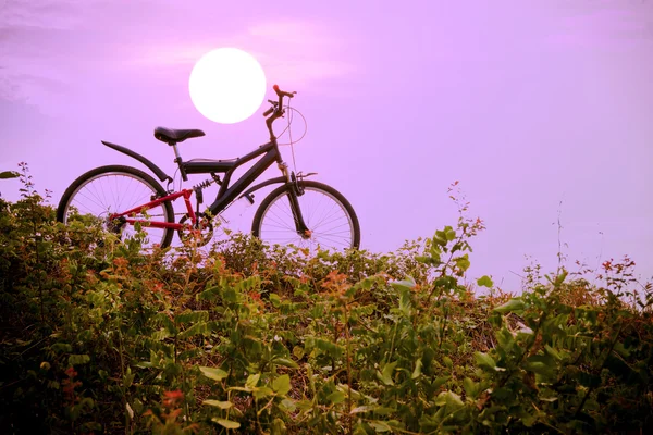 色彩斑斓的天空与日落的山地自行车. — 图库照片