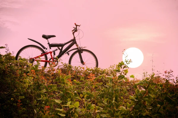 Rower górski z kolorowe niebo i zachód słońca. — Zdjęcie stockowe