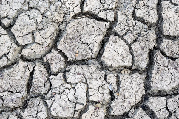 Cracked earth background texture. — Stock Photo, Image