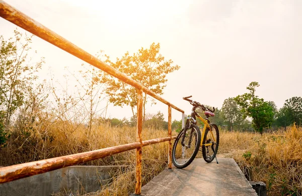 Beautiful Mountain bike on concrete bridge. — Stock Photo, Image