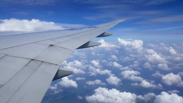 View from the window of the plane — Stock Video