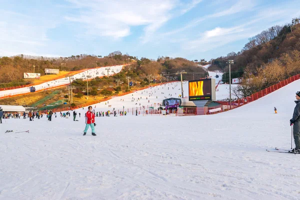 Ski à la station de ski Vivaldi Park — Photo