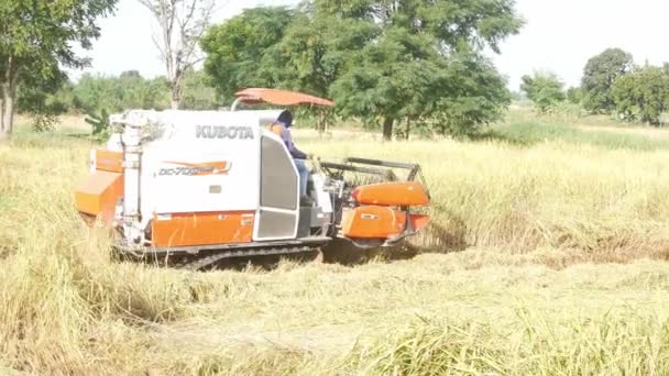 Накхон Ратчасима Таиланд Ноября 2020 Комбайн Проводит Сельскохозяйственные Работы Полях — стоковое видео