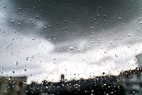 Chuva e orvalho . — Fotografia de Stock