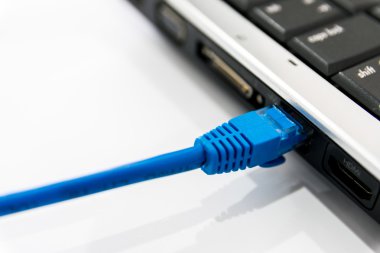 Rj45 konektörü bağlantısı yerel alan ağları için ve buna mavi