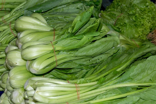 Lettuce — Stock Photo, Image