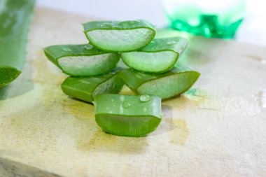 aloe vera