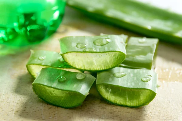 Aloe vera —  Fotos de Stock