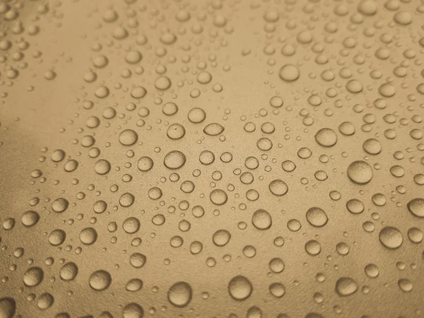 Regn dagg — Stockfoto