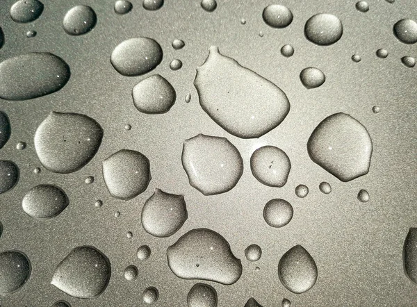 Beauty of the rain drops. — Stock Photo, Image