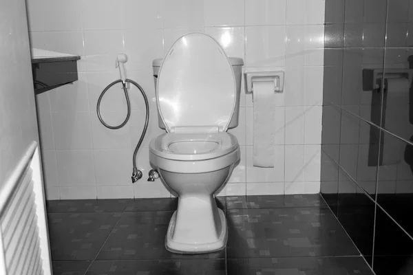 Moderna snålspolande toalett. — Stockfoto