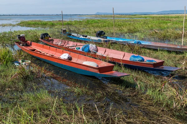 Uzun kuyruklu tekne — Stok fotoğraf