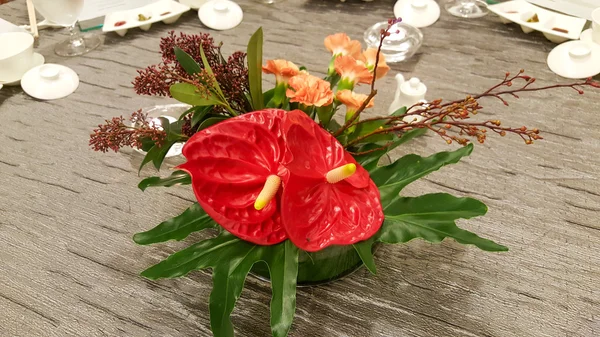 Spadix flor em vaso . — Fotografia de Stock