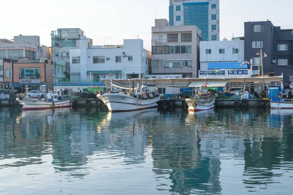 Fiskebåtar förtöjd i en fiskeby i Korea. — Stockfoto