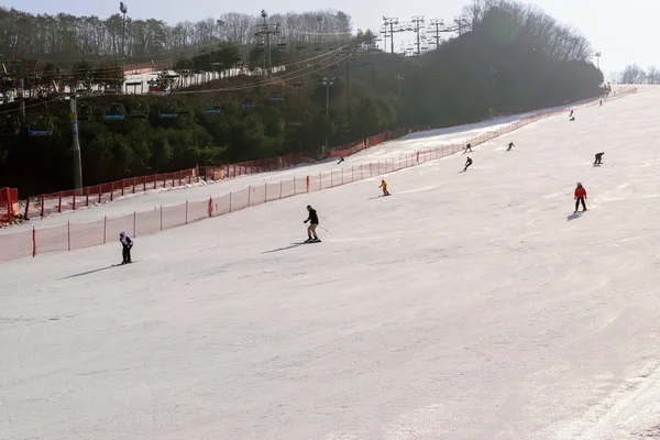 Daemyung Vivaldi Park stations de ski, attractions, célèbres et popul — Photo