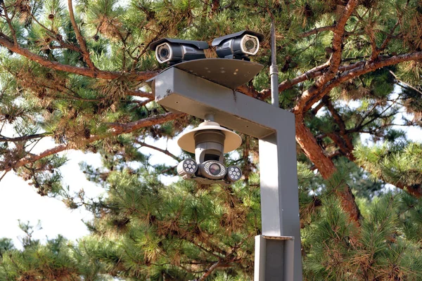 Камера видеонаблюдения в парке. — стоковое фото