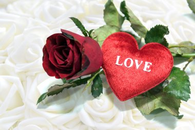 Şekilli ve kırmızı gül beyaz arka plan üzerinde kalp.