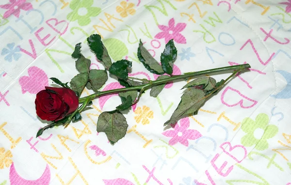 Red roses background valentines day — Stock Photo, Image