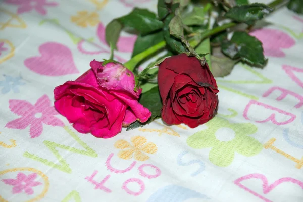 Red roses background valentines day — Stock Photo, Image