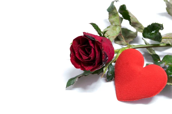 Rosas rojas y en forma de corazón sobre fondo blanco . — Foto de Stock