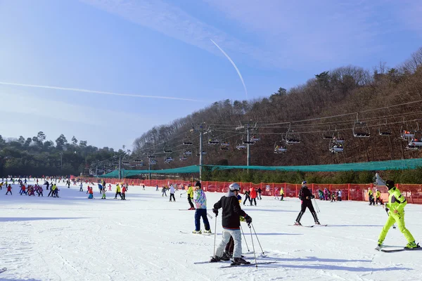 Daemyung Vivaldi Park stations de ski, attractions, célèbres et popul — Photo