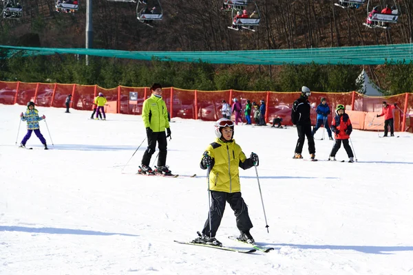 Daemyung Vivaldi Park stations de ski, attractions, célèbres et popul — Photo