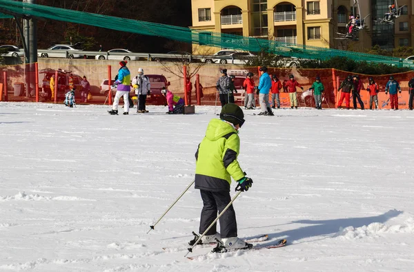 Daemyung Vivaldi Park stations de ski, attractions, célèbres et popul — Photo