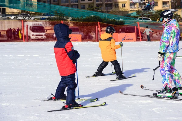 Daemyung Vivaldi Park stations de ski, attractions, célèbres et popul — Photo