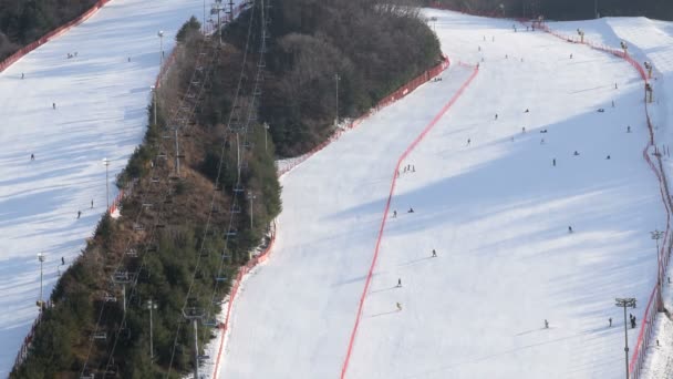 Ośrodek narciarski Daemyung Vivaldi Park. — Wideo stockowe