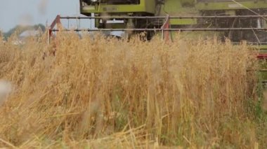 Biçme gevreklerini birleştirin, yükselen azraili durdurmak için odak kamera, açılmaları birleştirin.