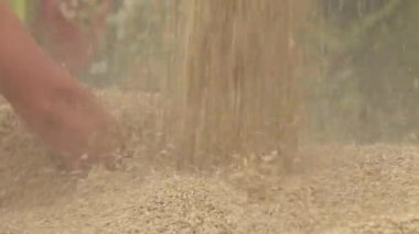 Dökülen Hububat Ürünleri, tahıl dökmek--dan üst alt, Piramit, saman, toz birleştirmek,