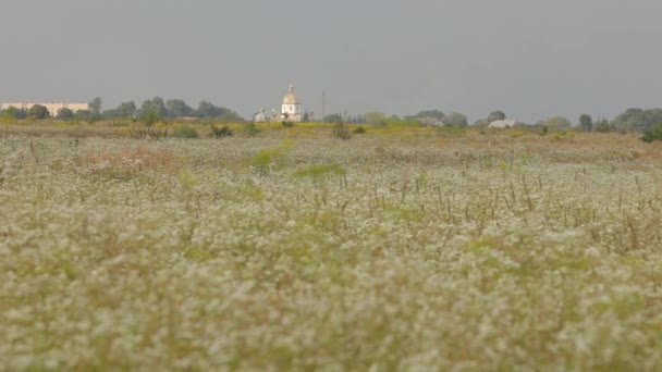 Akşam, bulutlu hava yaz aylarında alınan köy Panoraması. İçinde — Stok video