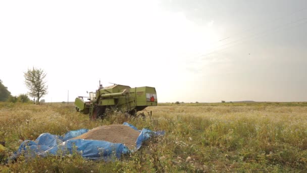 Combine green moving from right to left on the camera in a field, against a — Stock Video