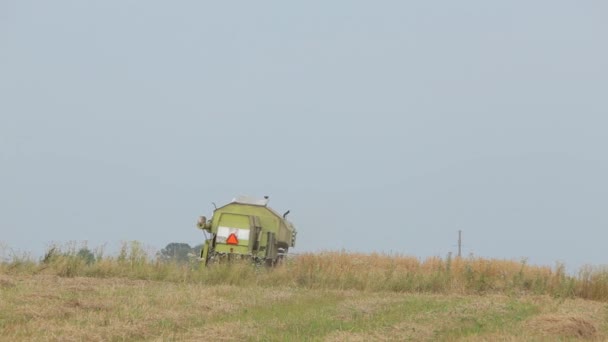 Kombinera gröna kisar i fältet spannmålen i fältet på en bakgrund av — Stockvideo