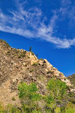 Ojai yakınlarındaki 33. otoyol